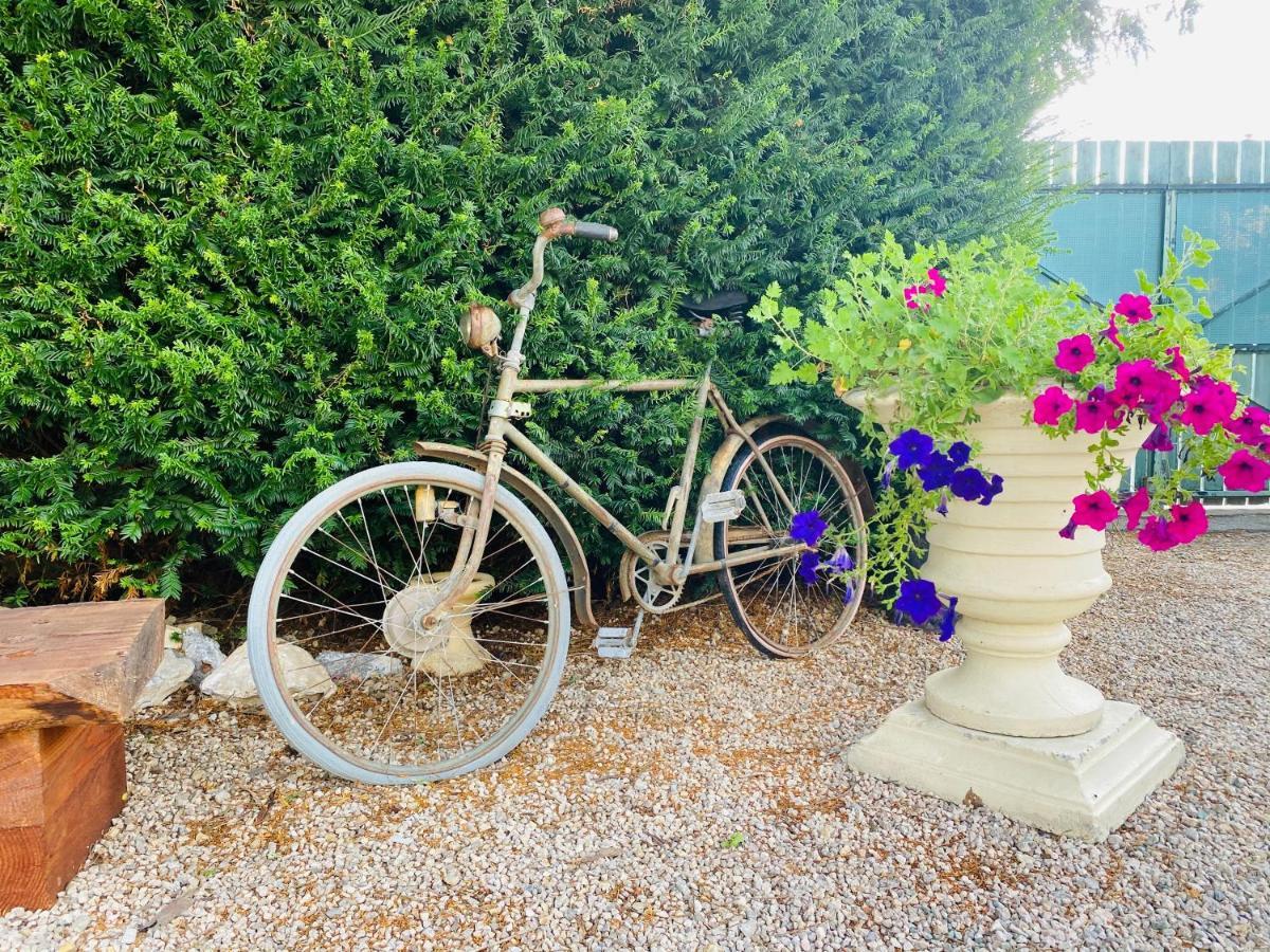 Aux Berges Du Libre Bed & Breakfast Felines-Termenes Luaran gambar